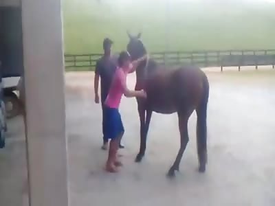 Ouch fuck horse lol 