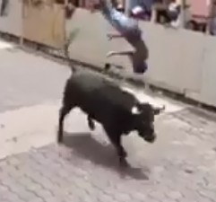 Distracted Dude Gets Killed by Bull in Mexico (Better Angle)