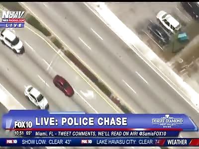 MUST WATCH: Crazy Police Chase Ends with K-9â€™s Having their Way