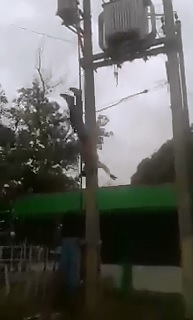 Man's Suicide by Power Lines is Caught on Tape 