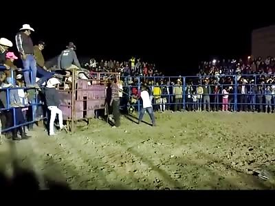 Bullfighter does not Last Too Long At All 