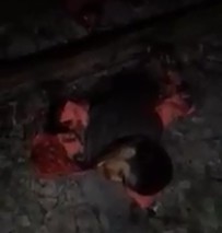 Dark Footage shows Man Sliced in Half by a Train 