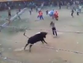 Man tries to jump over a bull and ends impaled by the horns
