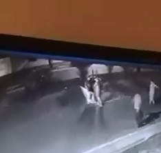 Better Quality Video of Man being Killed by Automobile...