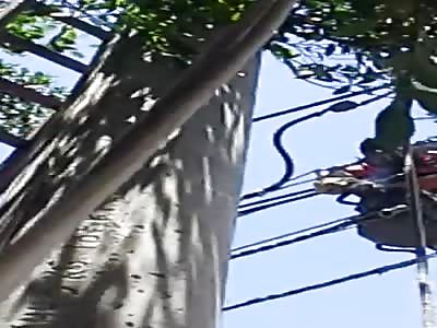 Cameraman has Good View as a Poor Electrical Worker is Fried on Power Lines 