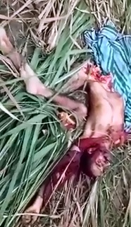 The Final Pieces Found of Man Eaten by a Tiger (More Video) 