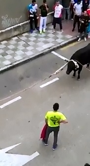 27 Year Old has a Standoff with a Bull and is Killed Quickly 