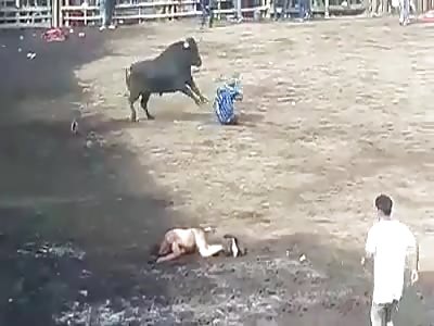 Killed Quickly by Bull