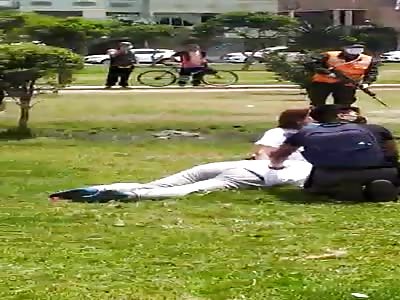 Mob fight in park.(pt2)