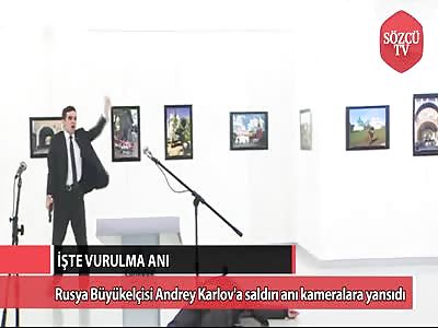 Russian ambassador to Turkey shot dead in Ankara 