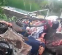 Total Carnage on the Road Following Accident