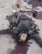 Hungry Dog Eats Dead Daesh Member