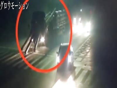 Amazing Video Shows Man Suddenly Stop and Then Killed by Unsecured Cargo on his Truck