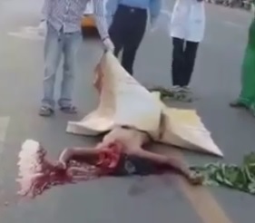 Dudes Head Exploded on Road... Scanners?