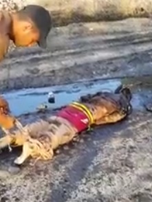 Man Drags the Dead ISIS Body To the Pool of Oil Liquid Grave