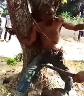 Thief Tied to Tree Beaten by Angry Pissed off Crowd