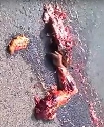 Man Cries Over Dead Wife As She's Splattered all Over the Road