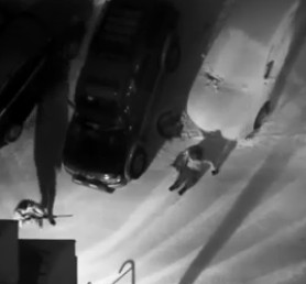 Guy Executes Woman with a Shotgun in the Snow