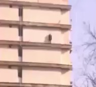 Depressed Woman Commits Suicide Jumping from Building