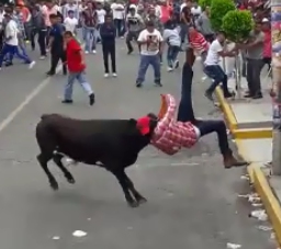 Idiot being knocked out by bull