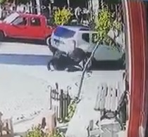 Man Crushed by Reversing Truck