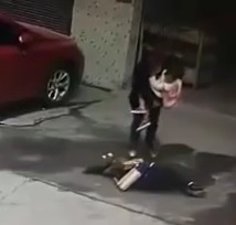 Out Of Nowhere Dog Knocks Out A Woman  
