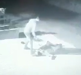 Kid Stabbed To Death