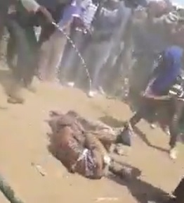 Thieves Horrifically Beaten by Angry Mob