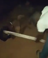 Two Kids Beaten to Shit with 2x4 by Angry Crowd