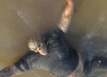 Jacked Skeletor Found Floating in the River
