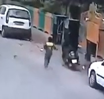 DAMN: Street Dogs Savagely Attack and Drag Young Boy