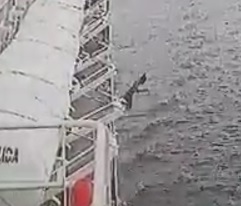 The Ferry Boat Suicide