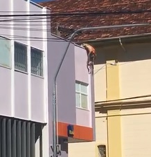 Man Electrocuted to Death