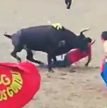 Don't Wear a Red Shirt to a Bull Fight