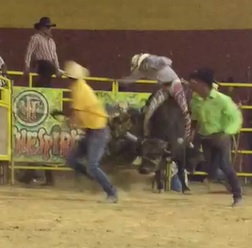 Bucking Bull Makes Short Work of Rider (2 Angles)