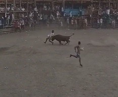 Bull Finds His Target
