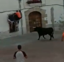 Bull Takes Dude off the Window and Goes to Work