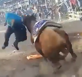 Man Dies by Bull