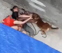 Poor Old Woman Mauled by Savage Dog