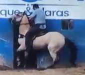 Crushed to Death by his Own Horse