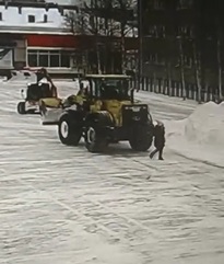 Woman Crushed by Snow Plow (Action & Aftermath)