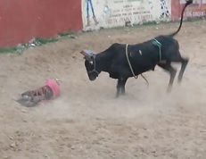 Cowboy Has Short Ride on Bull
