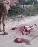 Beheaded Next to a Camel