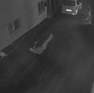Thief Falls From Apartment... Brutal Impact.