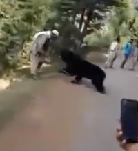 Sloth Bear Goes on Attack Mode Mauling Man (Another Angle)