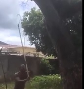 Dude Beats and Cuts Thief in a Tree with a Tree Cutter