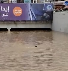 Poor Kid Drowns Despite People Trying to Rescue.