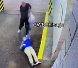 85-year-old Woman Savagely Mugged in Chicago