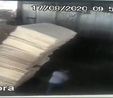 Worker Crushed by Wood Panels