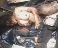 DAMN: Remains Of Perfect Tits Suicide Bomber.